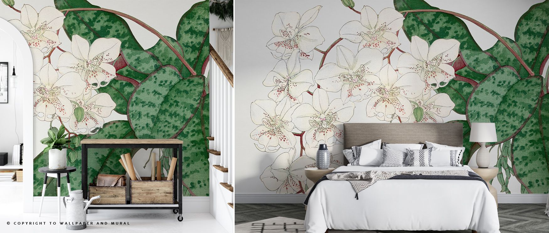 Tanigami Moth Orchid Elegant Floral Wall Art captures botanical poetry through orchids rendered in soft tones and flowing lines. Its composition conveys timeless calm and natural elegance, inspiring restful reflection. This refined floral artwork compleme