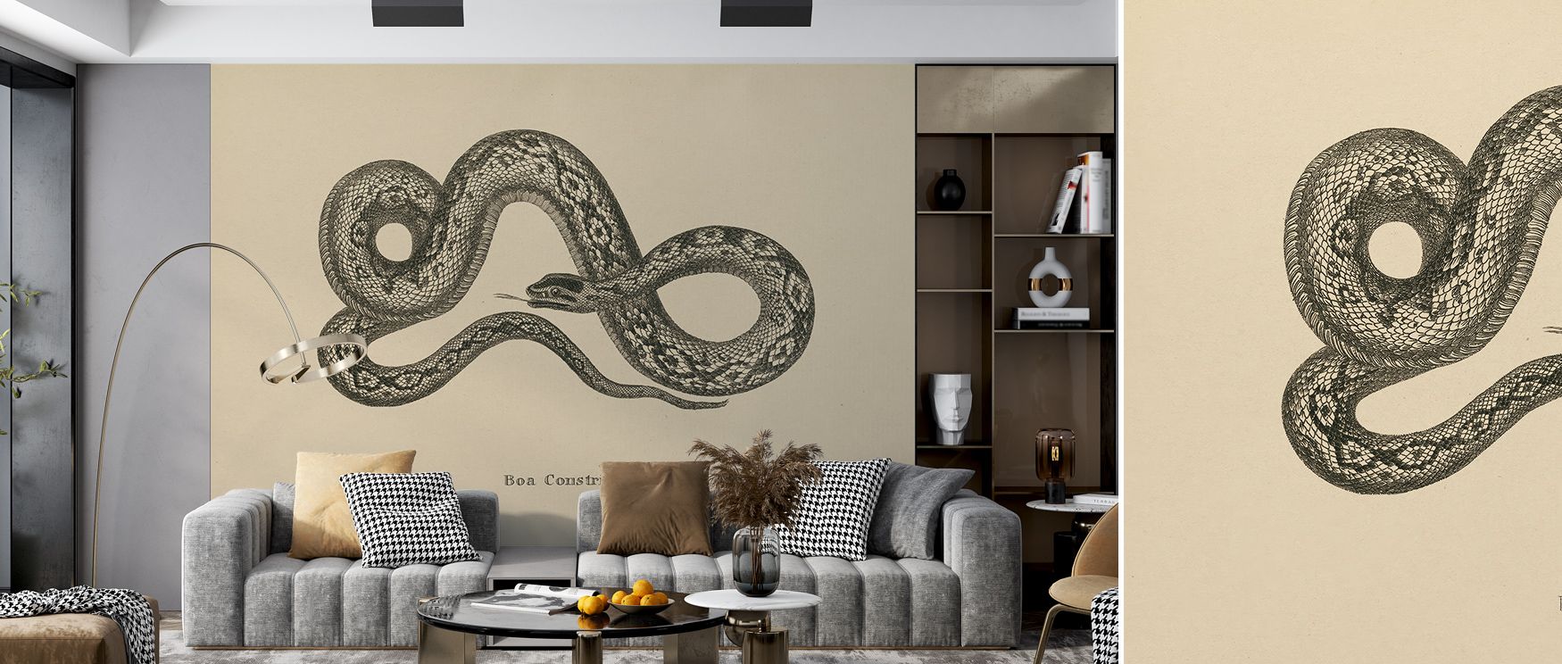 The Vintage Boa Constrictor Exotic Wall Art conveys the majesty and mystery of the snake through detailed illustration, capturing the subtle curves, textures, and natural patterns that bring the creature to life. Ideal for living rooms, bedrooms, or offic