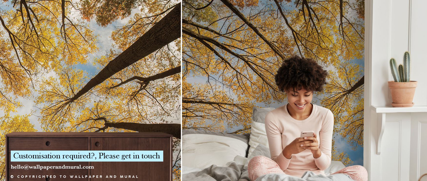Light glows softly across Towering Trees III Wallpaper, illuminating tranquil vertical rhythm. The delicate structure of bark and branch creates timeless beauty. Perfect for peaceful interiors, it radiates sophistication through its balance of simplicity 