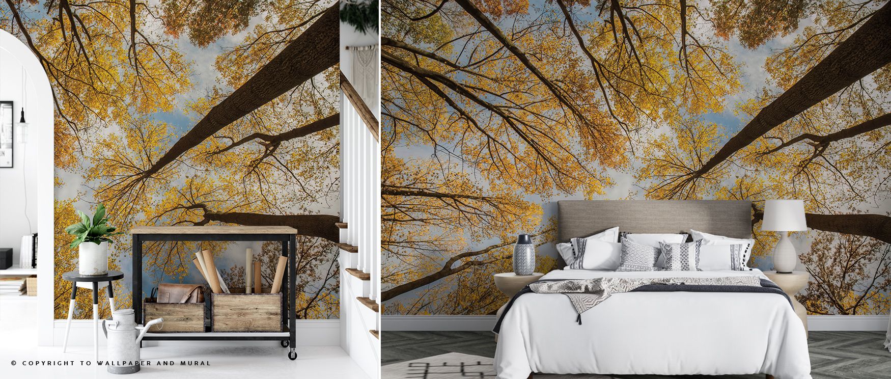 Refined and immersive, Towering Trees III Wallpaper celebrates the height and stillness of nature. Subtle tones ripple like distant leaves, filling interiors with quiet texture. The result is harmony and modern elegance inspired by the forest’s enduring c
