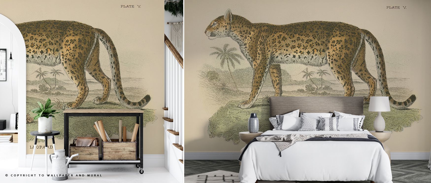 Through soft gradients and tactile design, Vintage Leopard Wallpaper reveals a poetic harmony between movement and calm. The subtle contrast invites tranquility while echoing the luxurious depth of nature’s artistry. 