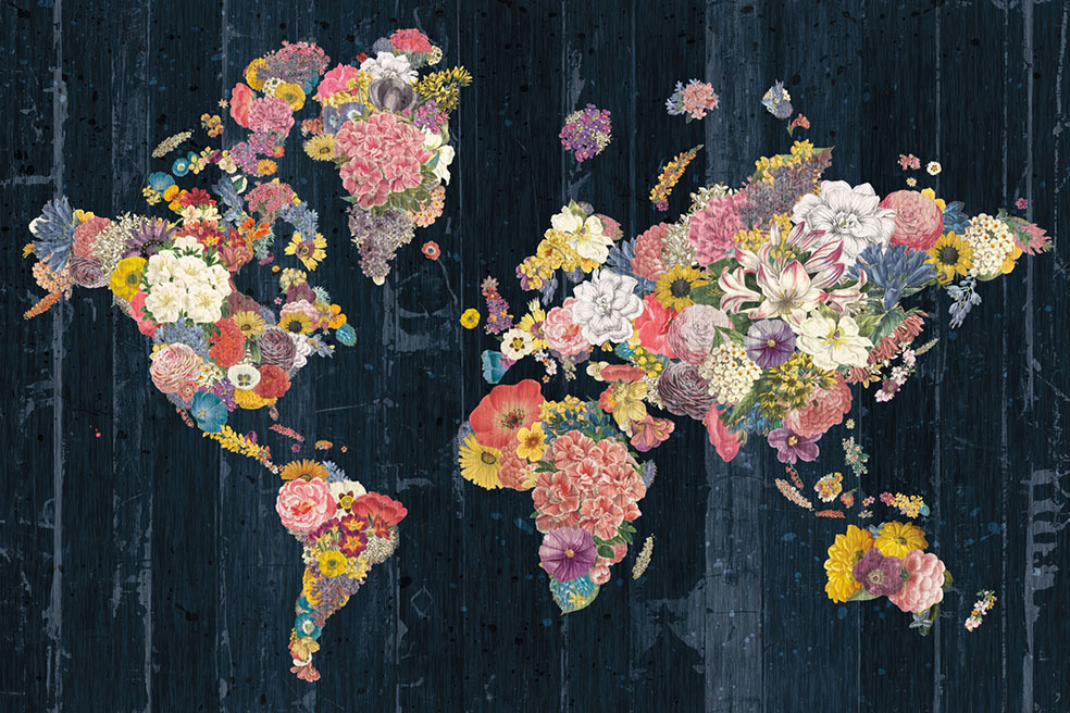 Botanical Floral Map Wallpaper – Floral Charm Decor